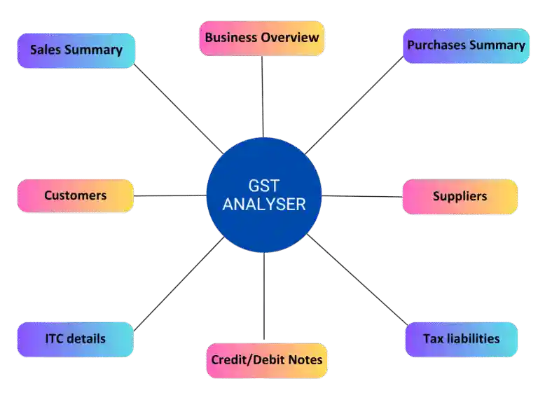 Key Features of Pro Analyser's GST Analyser